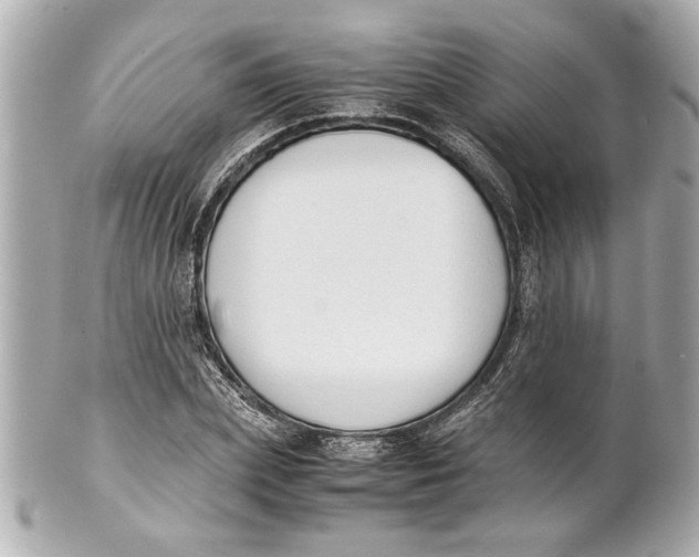 X0000101660831200807311433