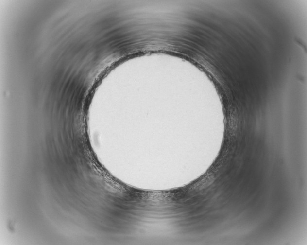 X0000101660832200807311433