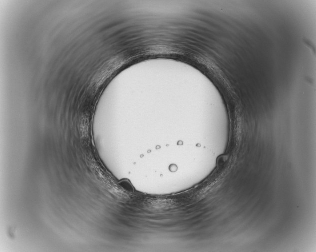 X0000101660833200807311433