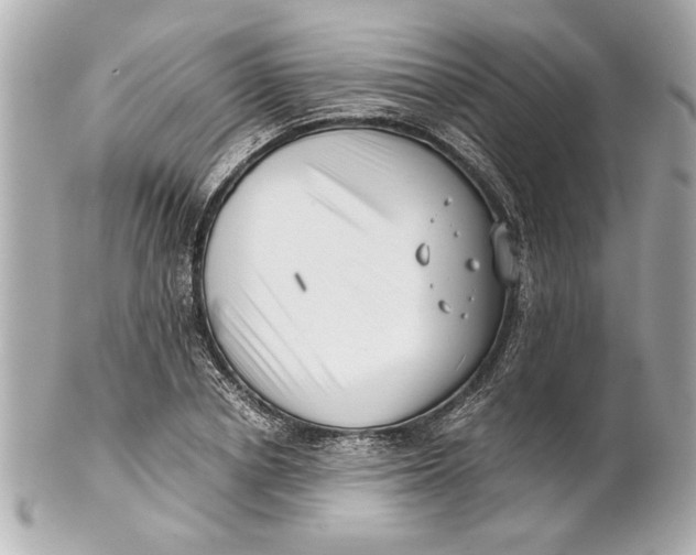 X0000101660834200807311433