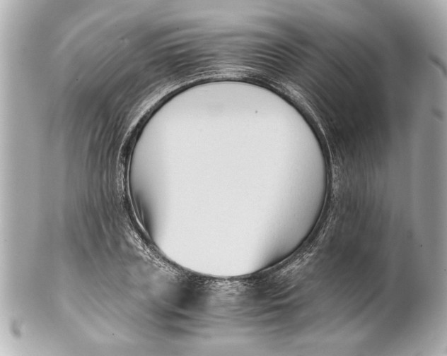 X0000101660835200807311433