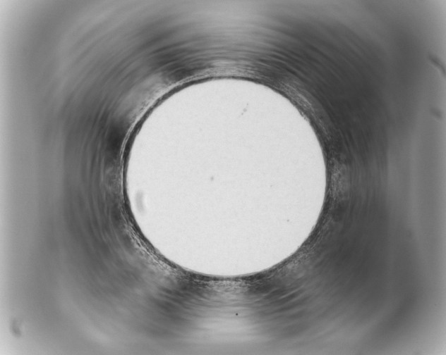 X0000101660836200807311433