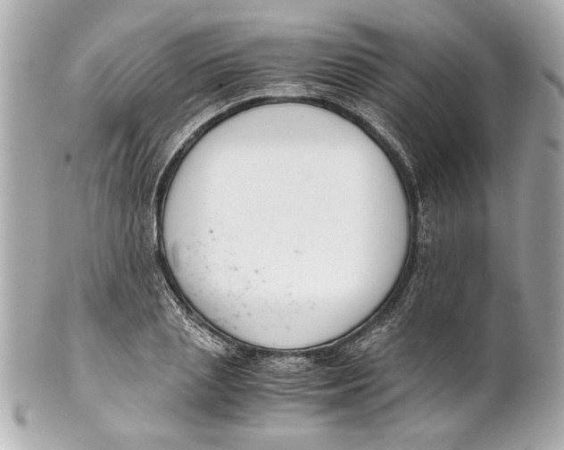 X0000101660837200807311433