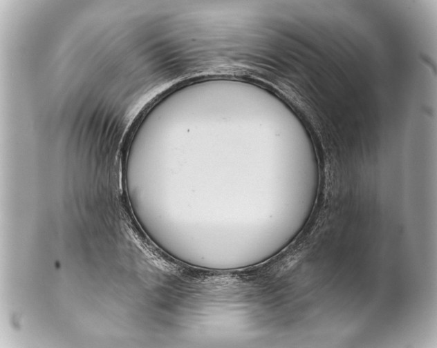 X0000101660838200807311433