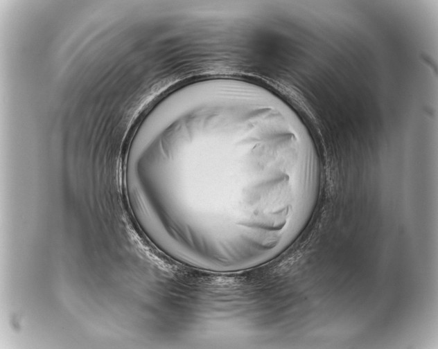 X0000101660839200807311433