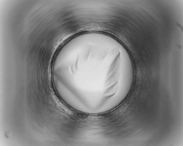 X0000101660840200807311433