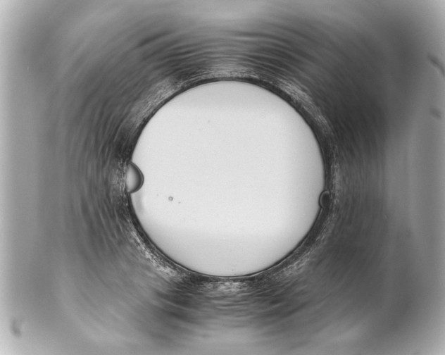 X0000101660841200807311433