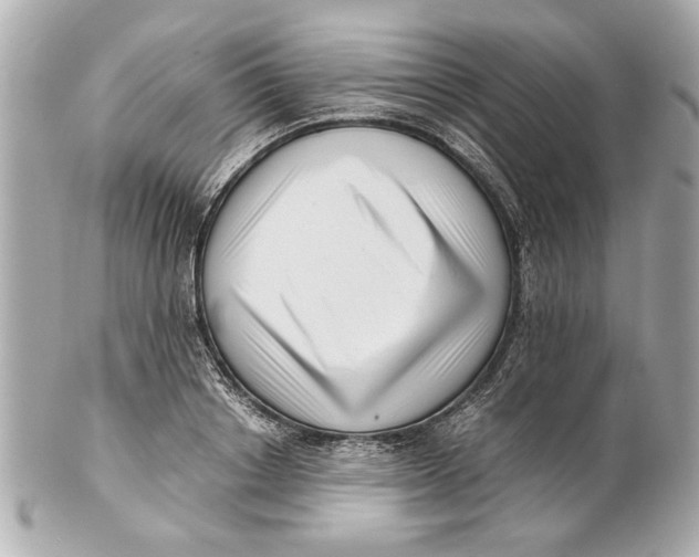 X0000101660842200807311433