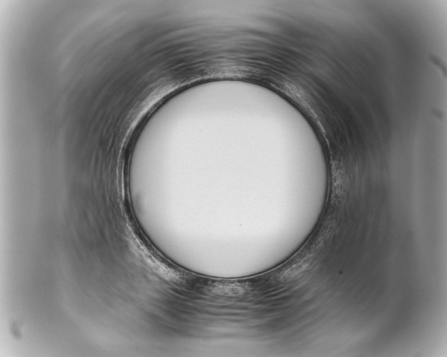 X0000101660843200807311433