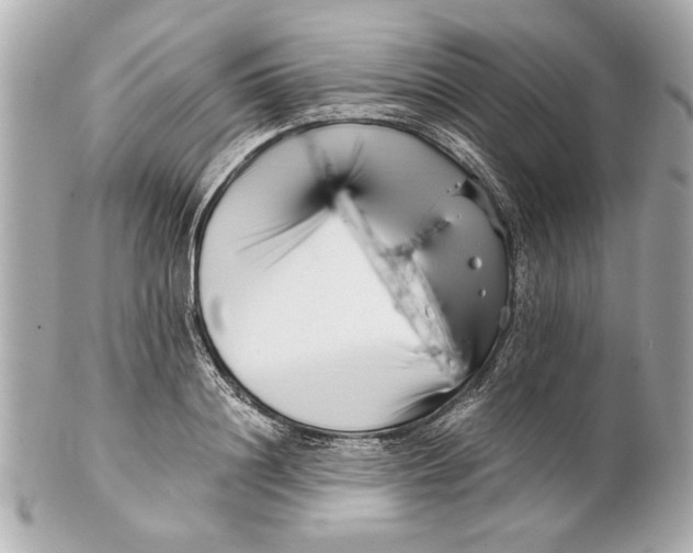 X0000101660844200807311433