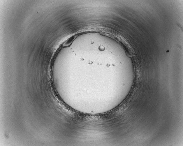 X0000101660846200807311433