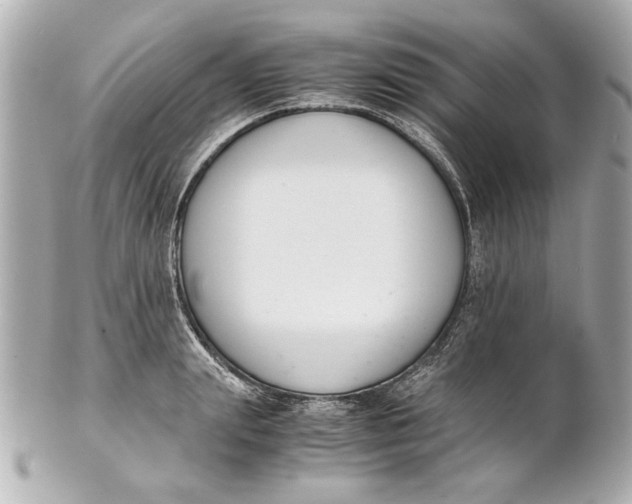 X0000101660847200807311433