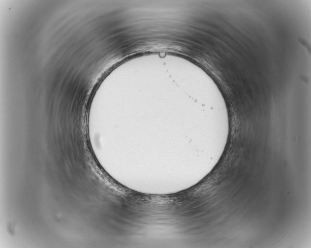 X0000101660848200807311433