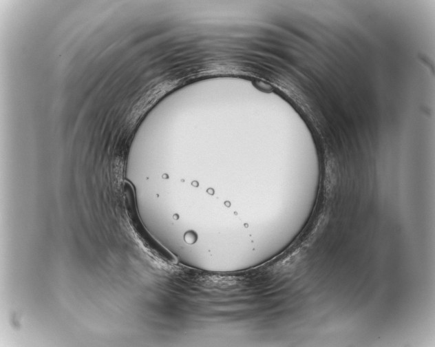 X0000101660849200807311433