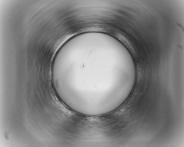 X0000101660852200807311433