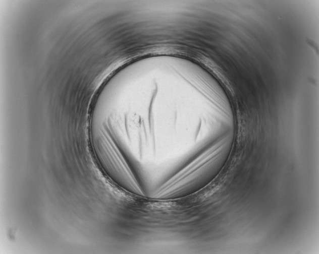 X0000101660853200807311433