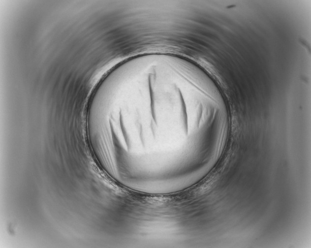 X0000101660854200807311433