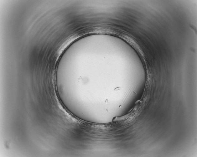 X0000101660855200807311433