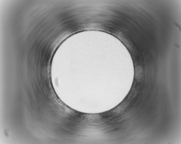 X0000101660856200807311433