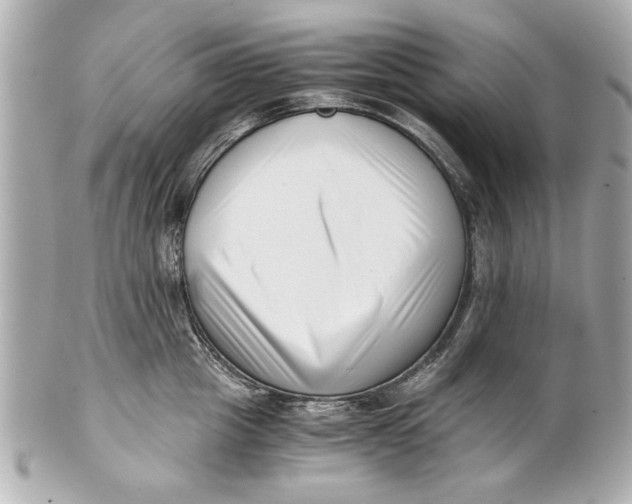 X0000101660857200807311433