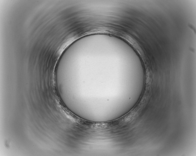 X0000101660858200807311433