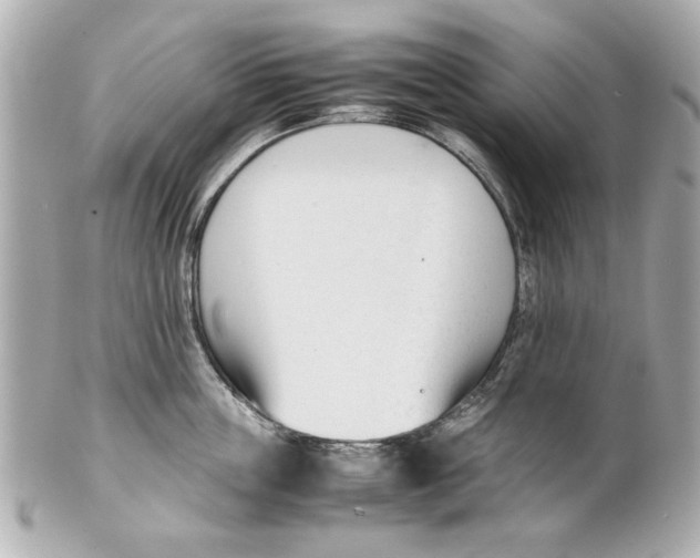 X0000101660859200807311433