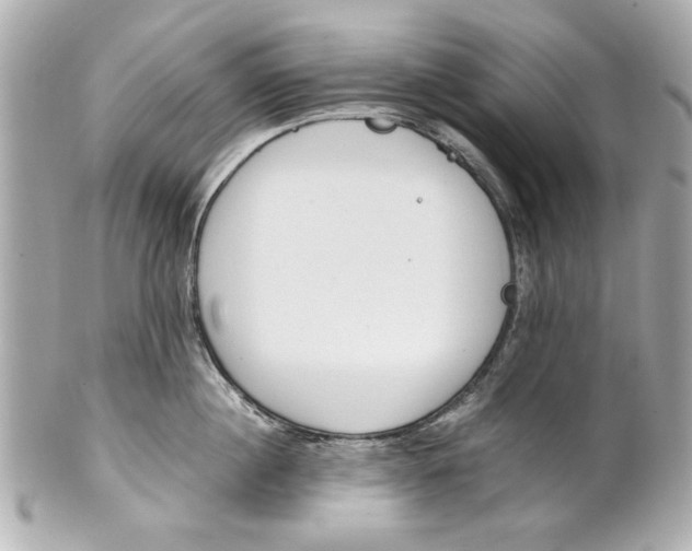 X0000101660860200807311433