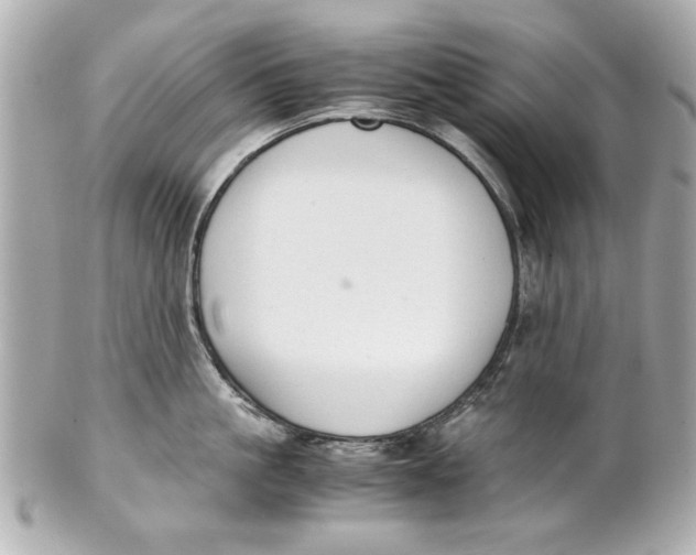 X0000101660861200807311433