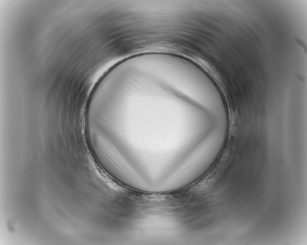 X0000101660862200807311433