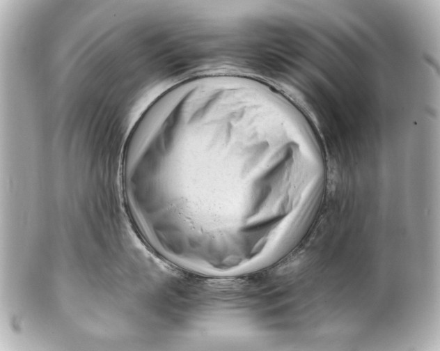 X0000101660863200807311433