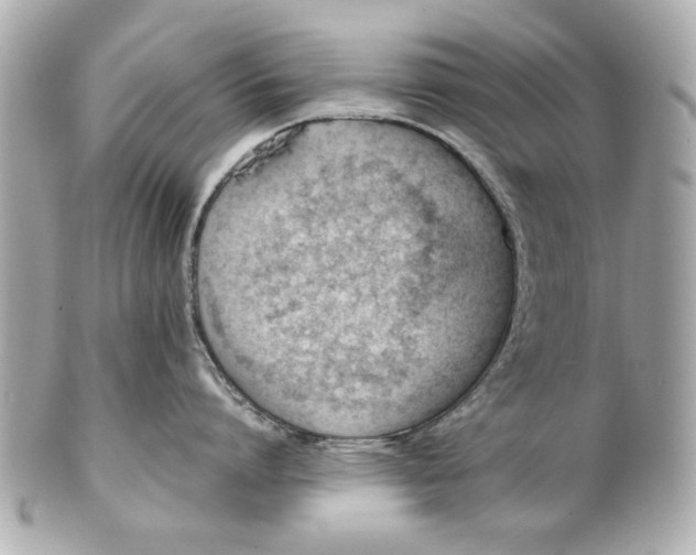 X0000101660864200807311433