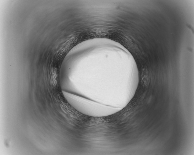 X0000101660866200807311433