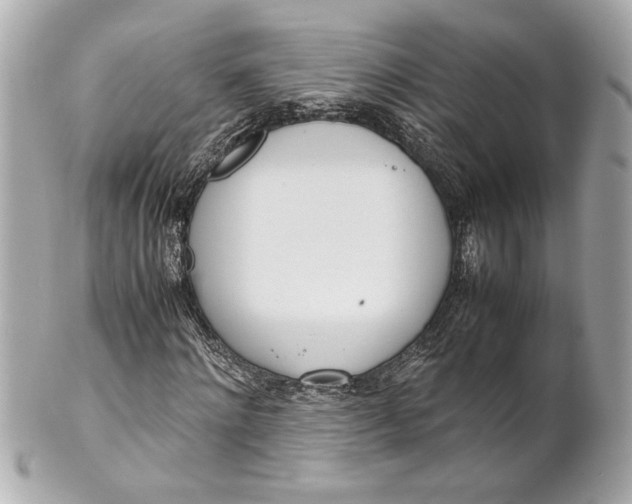 X0000101660868200807311433