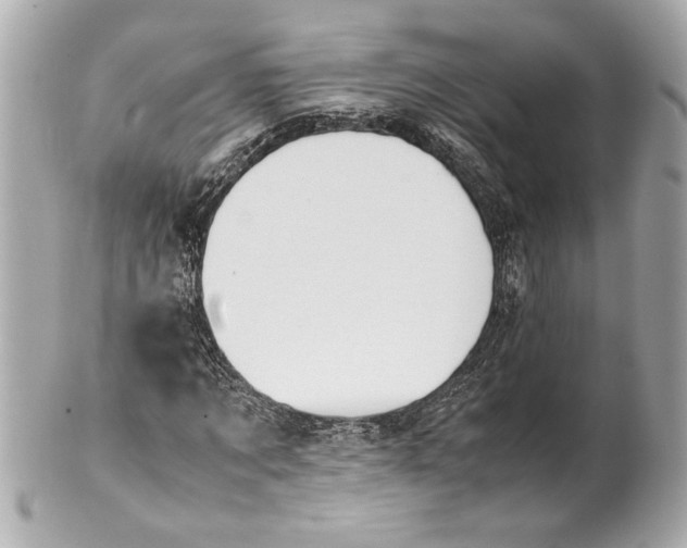 X0000101660869200807311433