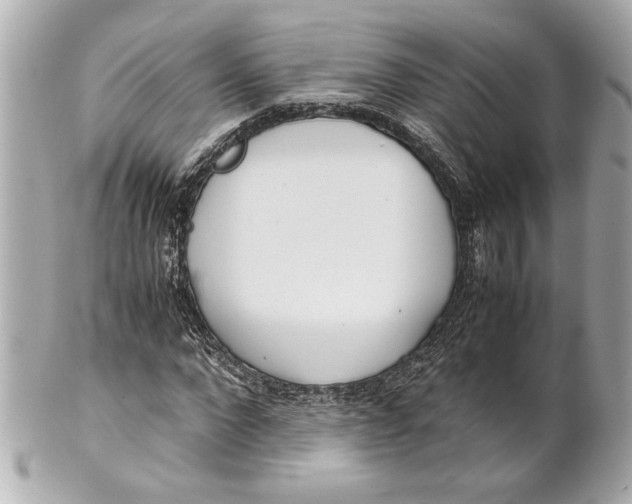 X0000101660872200807311433