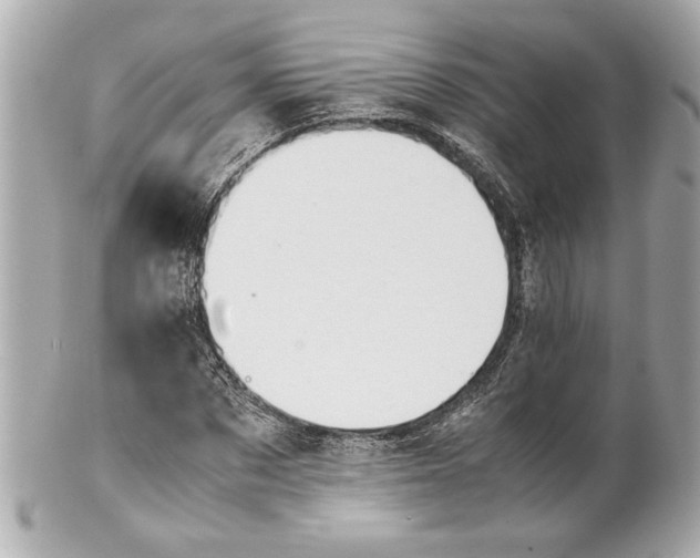 X0000101660873200807311433