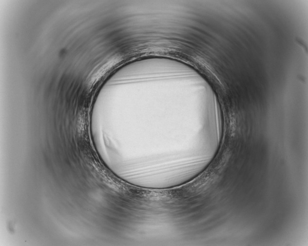 X0000101660874200807311433