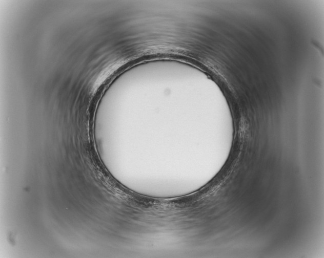 X0000101660877200807311433