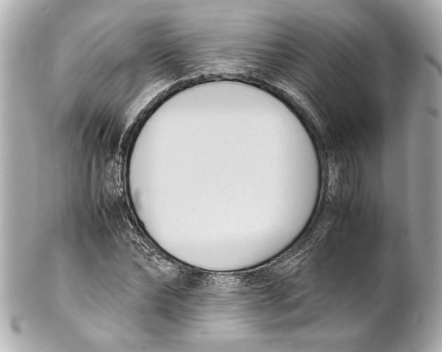 X0000101660878200807311433