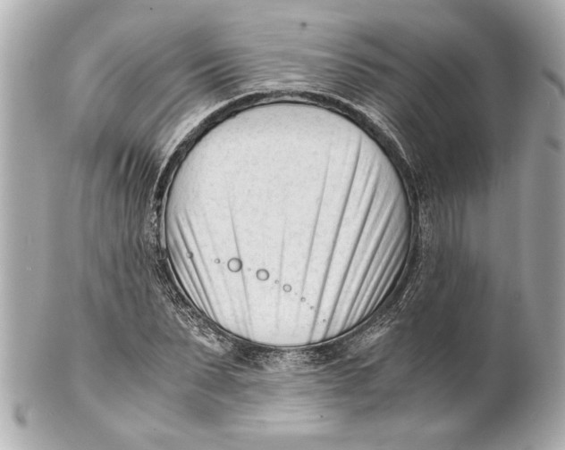 X0000101660879200807311433