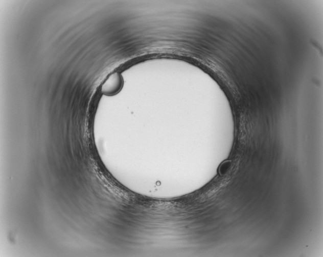 X0000101660880200807311433