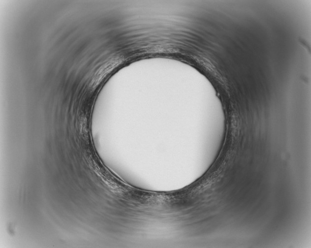 X0000101660881200807311433