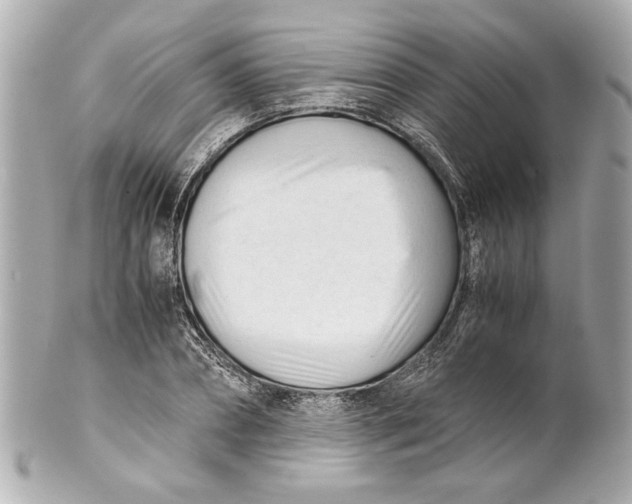 X0000101660882200807311433