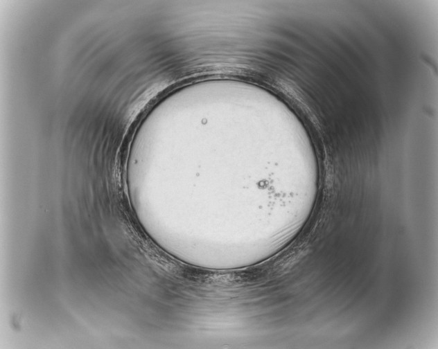 X0000101660883200807311433