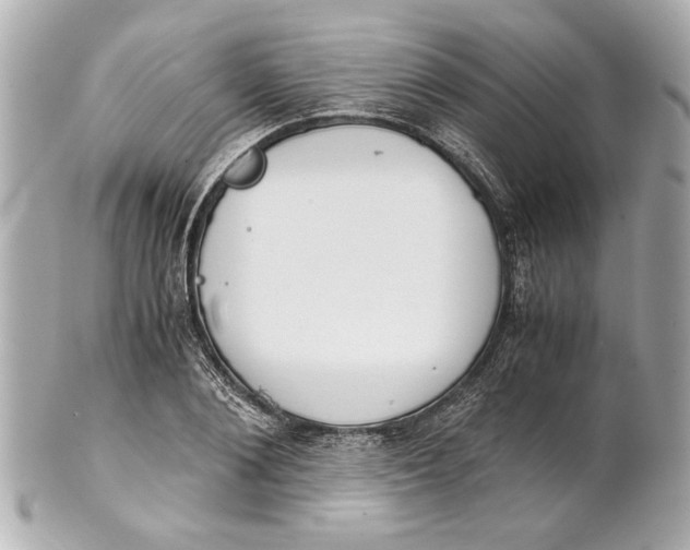 X0000101660884200807311433