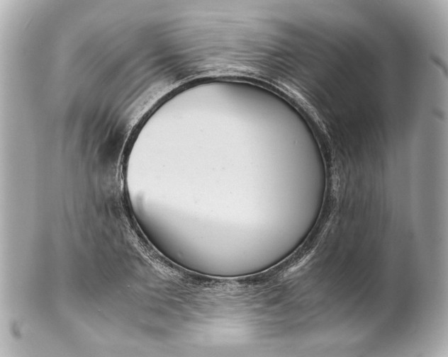 X0000101660885200807311432