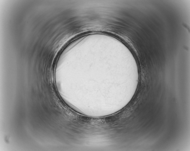 X0000101660887200807311432