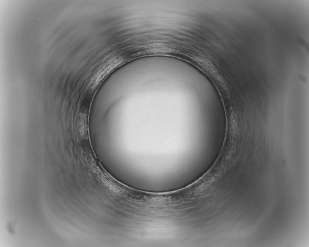 X0000101660889200807311432