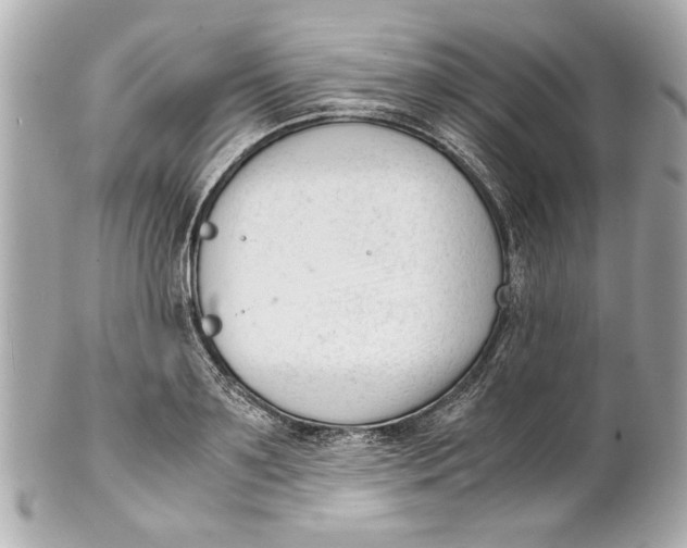 X0000101660891200807311432