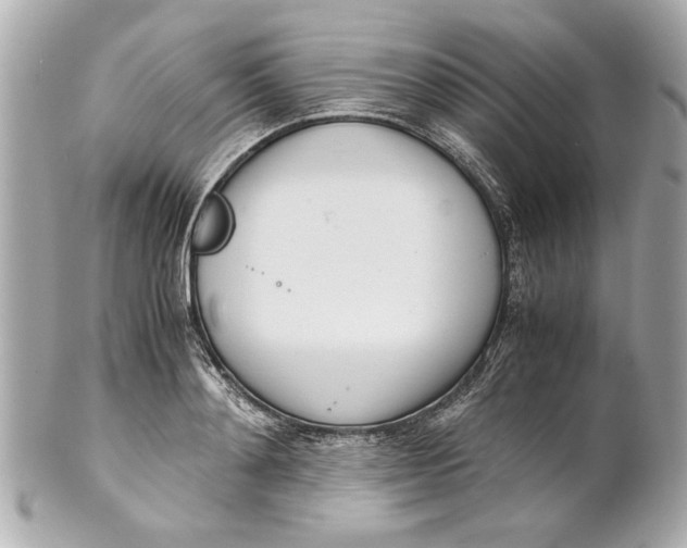 X0000101660892200807311432